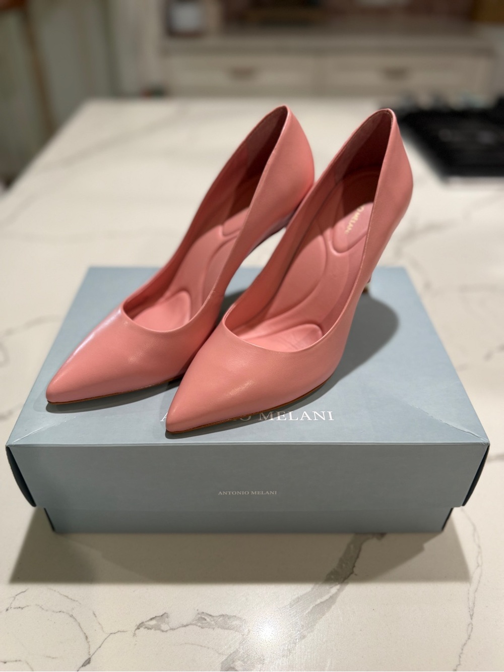 ANTONIO MELANI Pink Pointed-Toe Leather Pumps. Worn once for an hour.